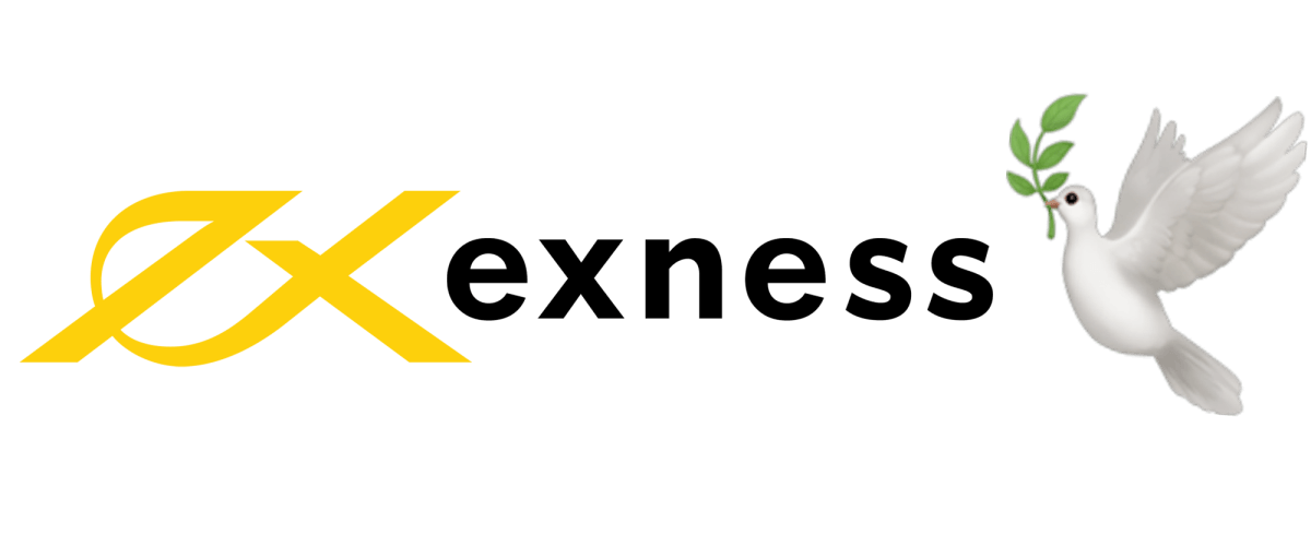 Comprehensive Review of Exness Forex Broker 4