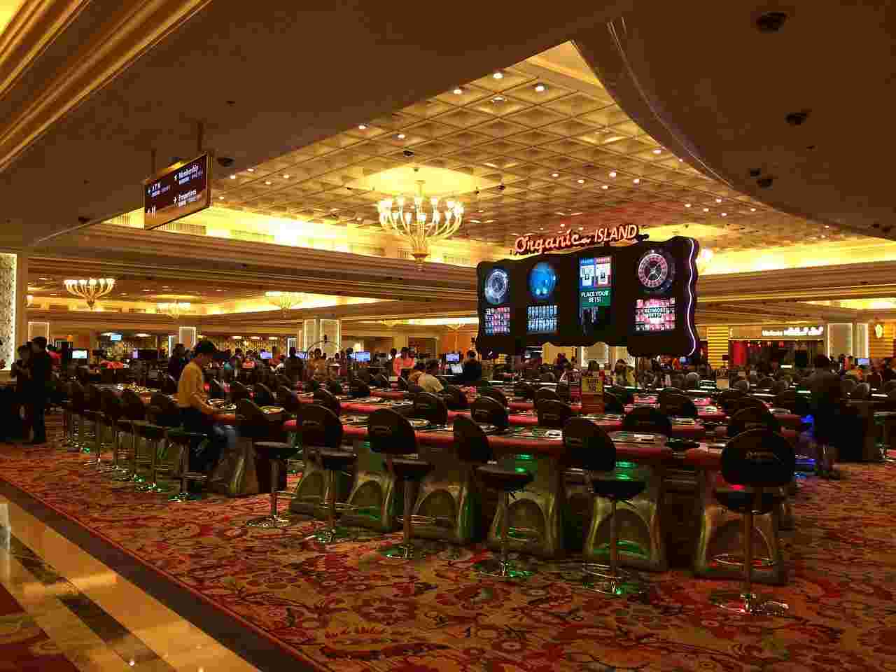 Discover the Best Games at Hawaii Spins Casino