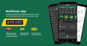 How to Successfully Sign Up for BetWinner A Step-by-Step Guide